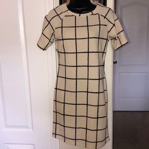 Beige & Black Bodycon Dress